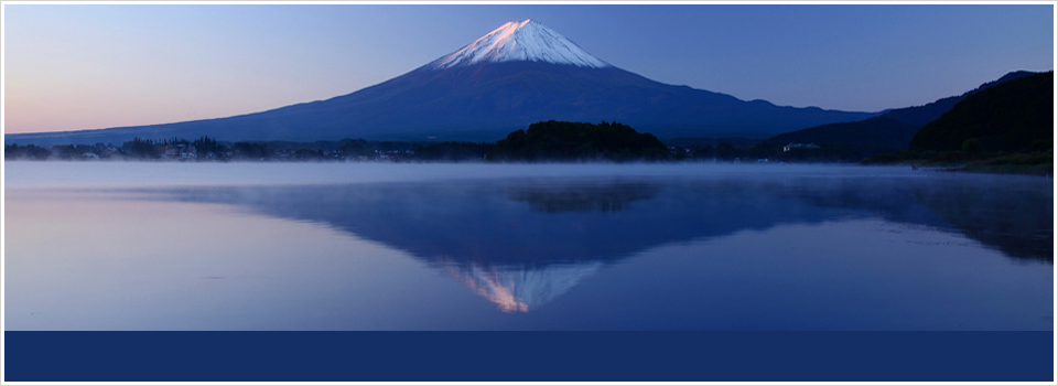 Ｖファームコンサルティング株式会社